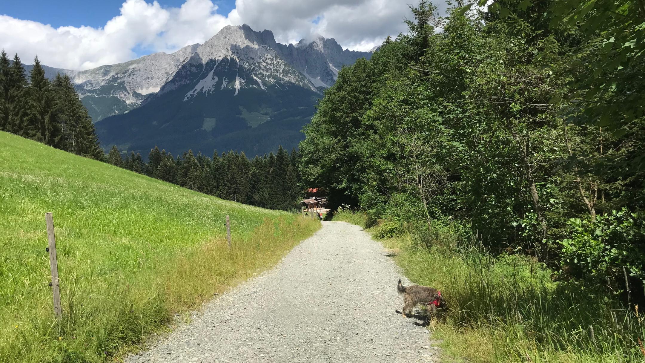 Pilgern ist ein Weg zu sich selbst, zu anderen und manchmal auch zu Gott.