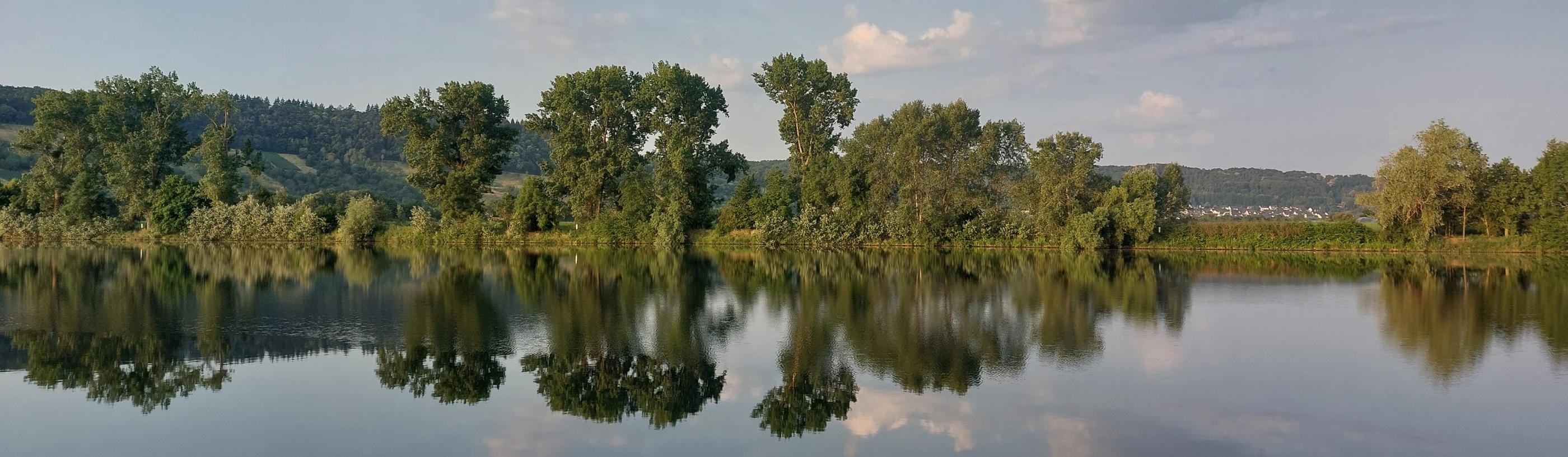 Blick von einer Moselseite zur anderen. Die Bäume am Uferrand spiegeln sich im Wasser. Am Himmel sind einige Wölkchen zu sehen