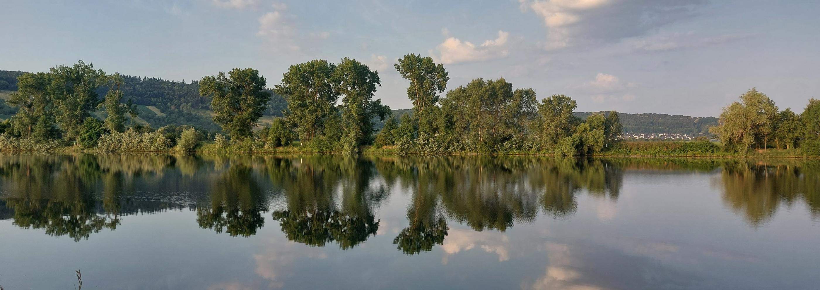 Blick von einer Moselseite zur anderen. Die Bäume am Uferrand spiegeln sich im Wasser. Am Himmel sind einige Wölkchen zu sehen